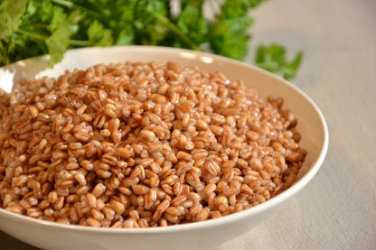 Dinkelino - Kochdinkel